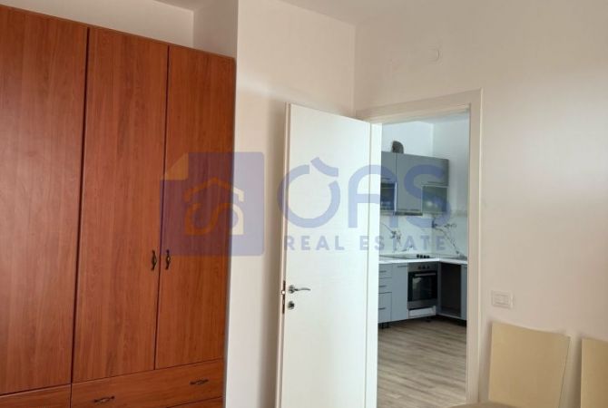 House for Rent 1+1 in Tirana - 450 Euro