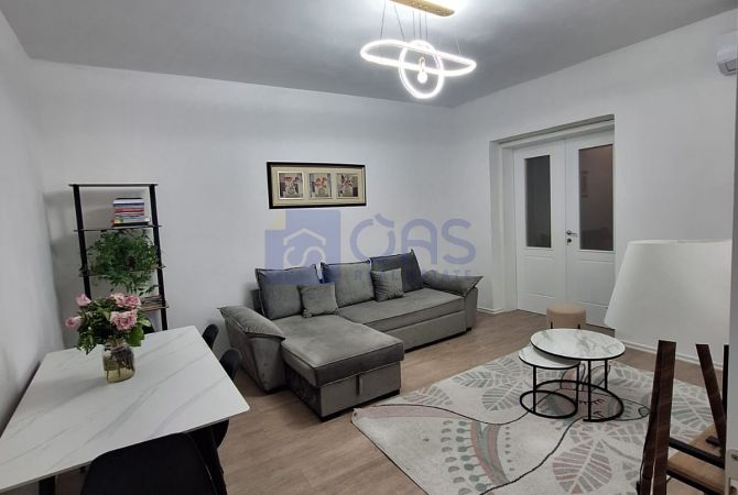 Shtepi me qera Apartament ne Tirane, 1+1, Mobilimi E mobiluar, Pagesa 500  Euro.