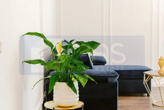 Shtepi me qera Apartament ne Tirane, 1+1, Mobilimi E mobiluar, Pagesa 550  Euro.