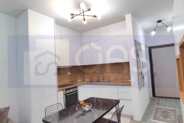 Shtepi me qera Apartament ne Tirane, 1+1, Mobilimi E mobiluar, Pagesa 450  Euro.