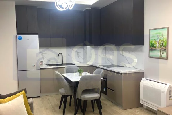 Shtepi me qera Apartament ne Tirane, 1+1, Mobilimi E mobiluar, Pagesa 850  Euro.