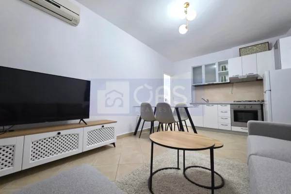 Shtepi me qera Apartament ne Tirane, 1+1, Mobilimi E mobiluar, Pagesa 650  Euro.