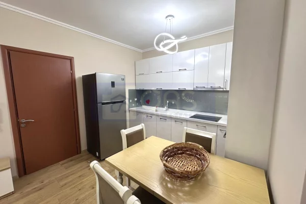 Shtepi me qera Apartament ne Tirane, 1+1, Mobilimi E mobiluar, Pagesa 520  Euro.