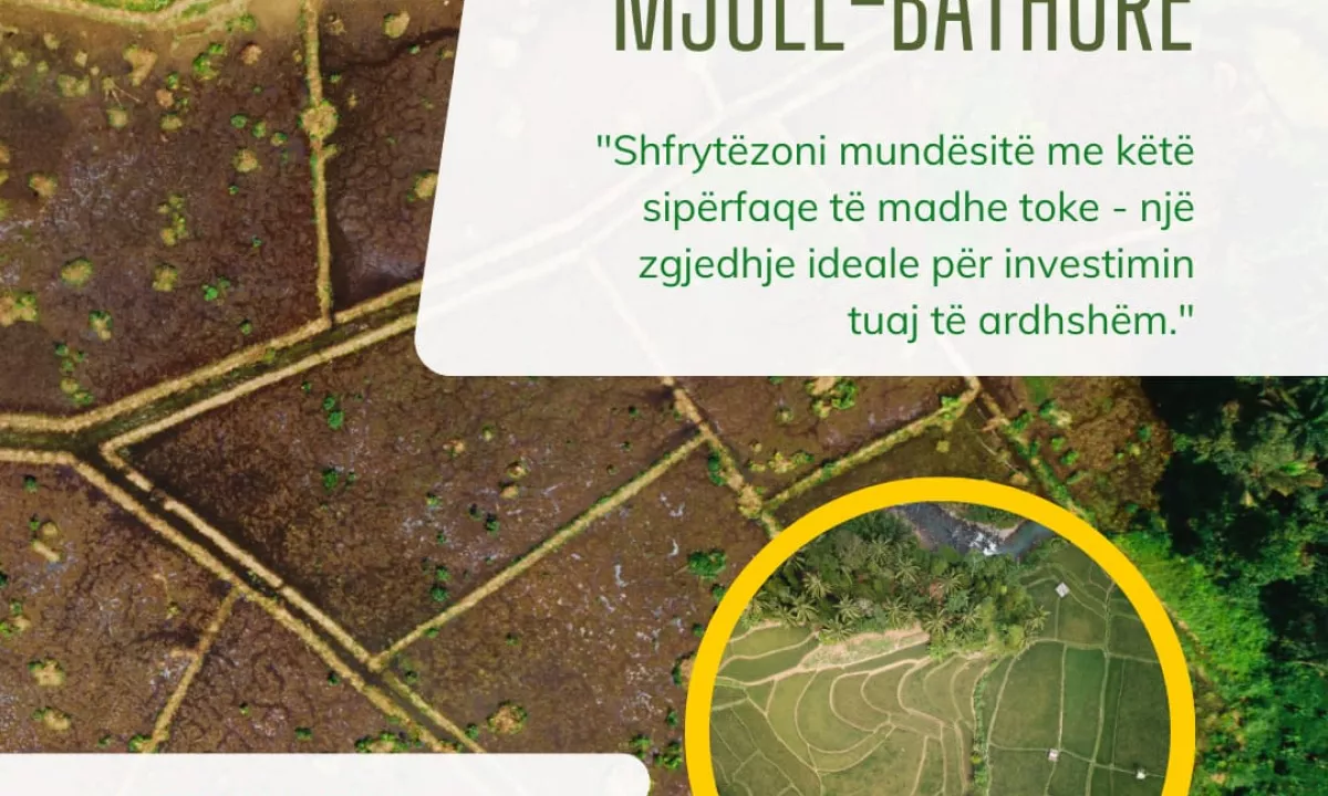 Foto 1
