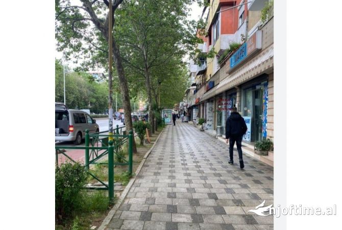 Ambient biznesi me qera 1+1 ne Tirane - 1,000 Euro