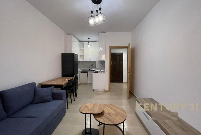 Shtepi me qera Apartament ne Tirane, 1+1, Mobilimi E mobiluar, Pagesa 550  Euro.