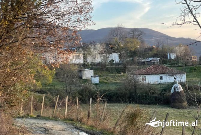 Shtepi ne shitje 1+1 ne Elbasan - 99,999 Euro