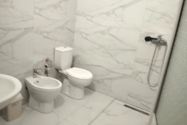 Shtepi me qera Apartament ne Tirane, 1+1, Mobilimi E mobiluar, Pagesa 350  Euro.