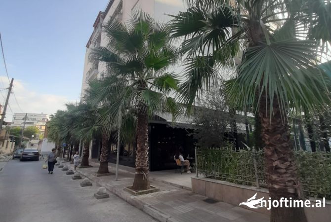 Ambient biznesi me qera 3+1 ne Tirane - 250 Euro