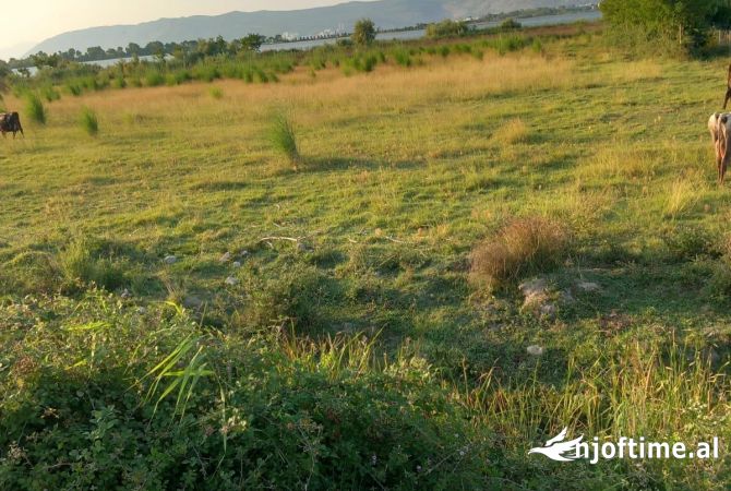 Terreno in vendita  a Alessio - 560,000 Euro