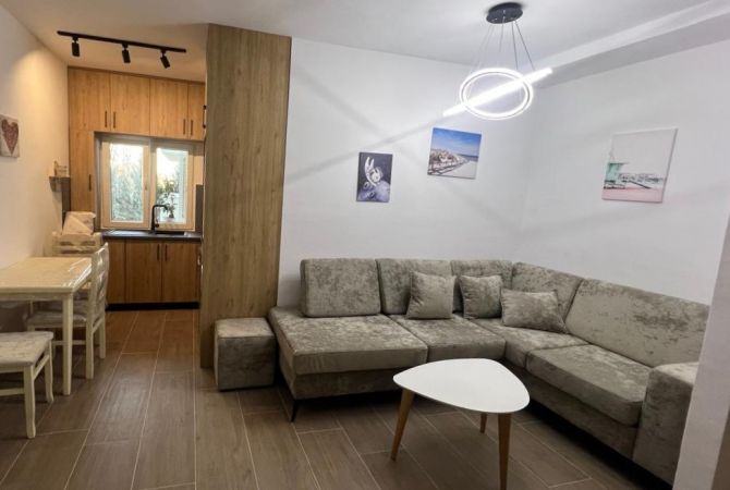 Shtepi me qera 1+1 ne Tirane - 500 Euro