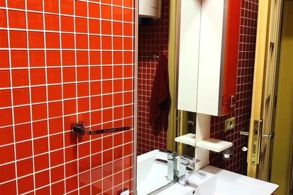 Shtepi me qera Apartament ne Tirane, 2+1, Mobilimi E mobiluar, Pagesa 650  Euro.