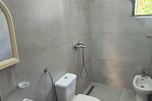 Shtepi me qera Apartament ne Tirane, 1+1, Mobilimi E mobiluar, Pagesa 450  Euro.