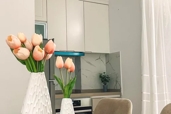 Shtepi me qera 1+1 ne Tirane - 600 Euro