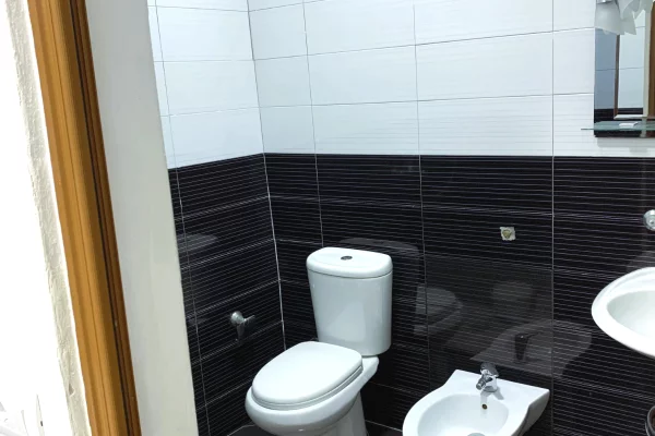 Shtepi me qera Apartament ne Tirane, 1+1, Mobilimi E mobiluar, Pagesa 400  Euro.