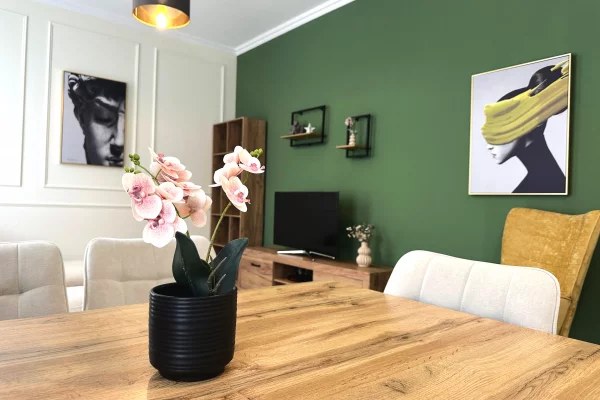 Shtepi me qera Apartament ne Tirane, 1+1, Mobilimi E mobiluar, Pagesa 650  Euro.