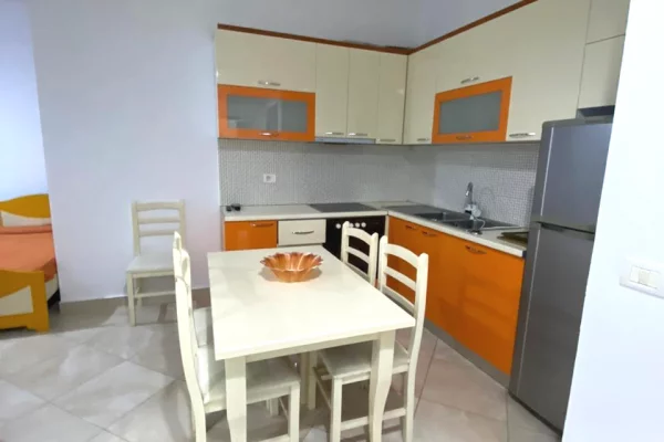 Shtepi me qera 1+1 ne Tirane - 40,000 Leke