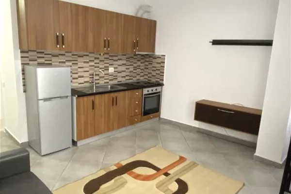 Shtepi me qera 1+1 ne Tirane - 400 Euro