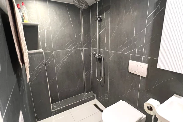 Shtepi me qera Apartament ne Tirane, 1+1, Mobilimi E mobiluar, Pagesa 500  Euro.