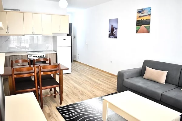 Shtepi me qera Apartament ne Tirane, 1+1, Mobilimi E mobiluar, Pagesa 500  Euro.