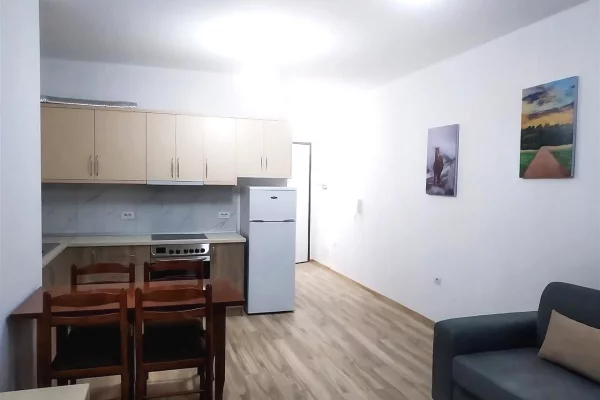 Shtepi me qera Apartament ne Tirane, 1+1, Mobilimi E mobiluar, Pagesa 500  Euro.