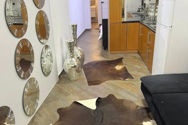 Shtepi me qera Garsoniere ne Tirane - 450 Euro