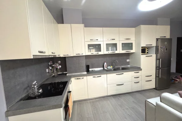 Shtepi me qera Apartament ne Tirane, 1+1, Mobilimi E mobiluar, Pagesa 580  Euro.