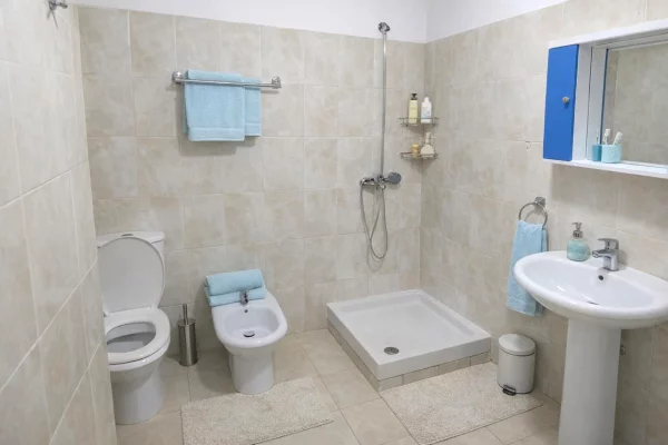 Shtepi me qera Apartament ne Tirane, 2+1, Mobilimi E mobiluar, Pagesa 600  Euro.