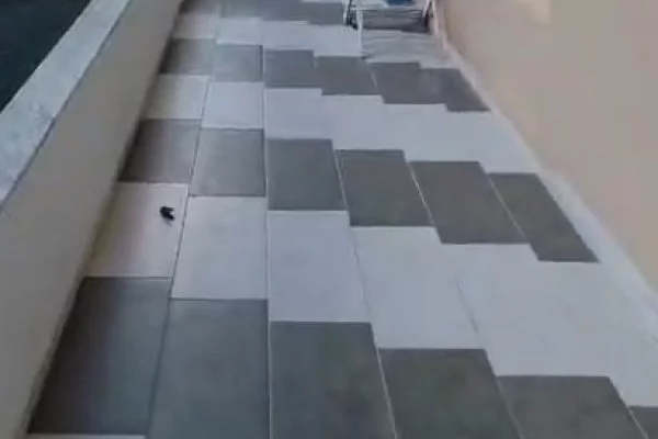 Shtepi me qera Apartament ne Tirane, 1+1, Mobilimi E mobiluar, Pagesa 650  Euro.