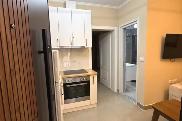 Shtepi me qera Apartament ne Tirane, 1+1, Mobilimi E mobiluar, Pagesa 400  Euro.