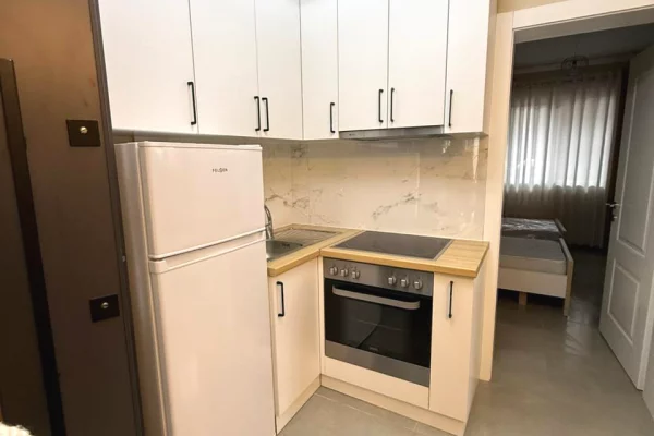 Shtepi me qera Apartament ne Tirane, 1+1, Mobilimi E mobiluar, Pagesa 400  Euro.