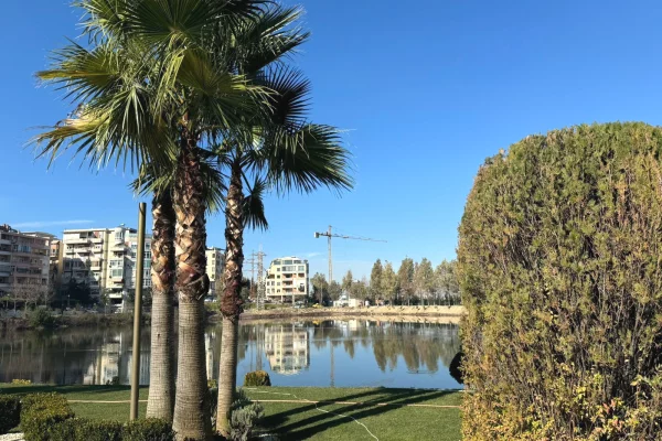 Apartment for rent in Tirana 2+1, Furnished