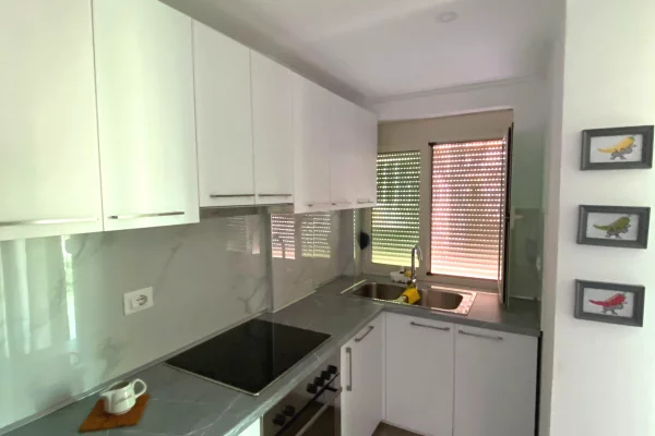 Apartment for rent in Tirana 1+1, Furnished