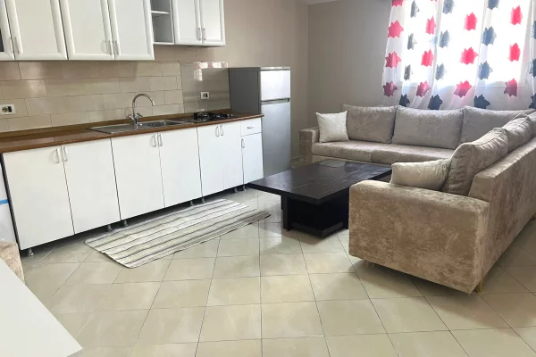 House for Rent 1+1 in Tirana - 350 Euro