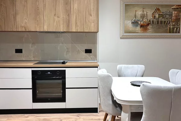 Apartment for rent in Tirana 1+1, Furnished