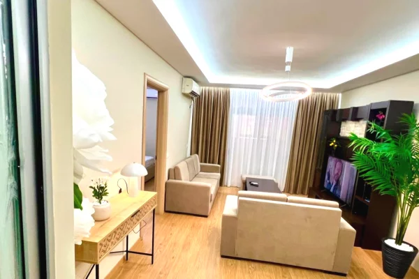 Apartment for rent in Tirana 1+1, Furnished