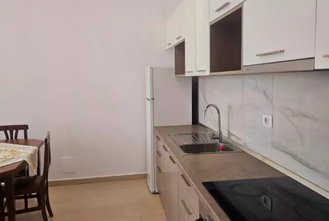 Shtepi me qera 1+1 ne Tirane - 55,000 Leke