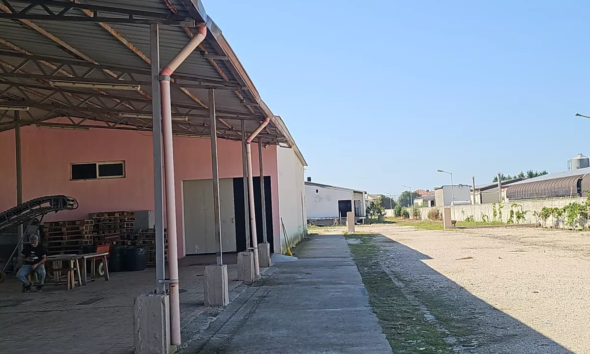 Foto 2