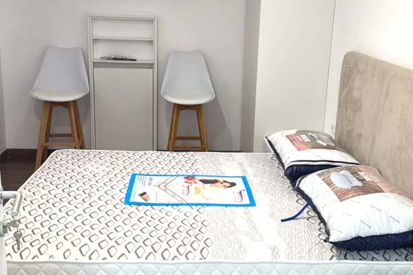 Shtepi me qera Apartament ne Tirane, Garsoniere, Mobilimi E mobiluar, Pagesa 30,000  Leke.