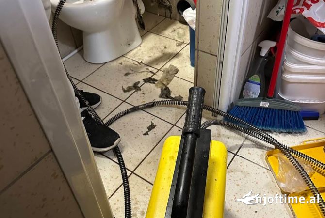 Environment maintenance  in Tirana - 1,000 Leke