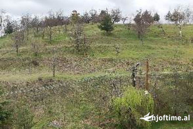 Shtepi ne shitje 4+1 ne Korce - 250,000 Euro
