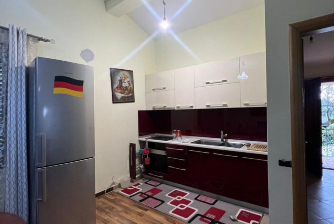 House for Rent 1+1 in Tirana - 300 Euro