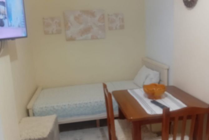 Shtepi me qera Apartament ne Tirane, 1+1, Mobilimi E mobiluar, Pagesa 300  Euro.