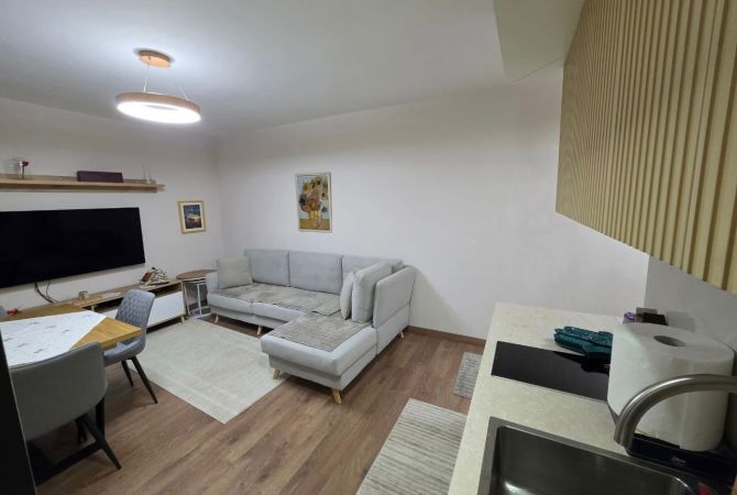 Shtepi ne shitje Apartament ne Tirane, 1+1, Mobilimi E mobiluar, Pagesa 159,000  Euro.