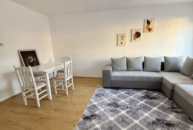 Shtepi me qera 1+1 ne Tirane - 48,000 Leke