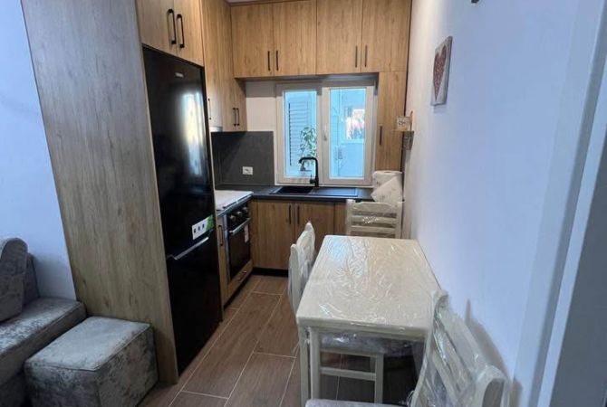Shtepi me qera Apartament ne Tirane, 1+1, Mobilimi E mobiluar, Pagesa 500  Euro.