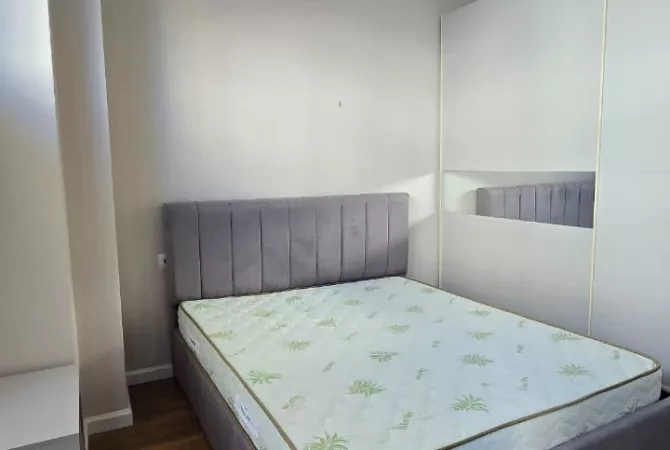 Shtepi me qera Apartament ne Tirane, 1+1, Mobilimi E mobiluar, Pagesa 550  Euro.