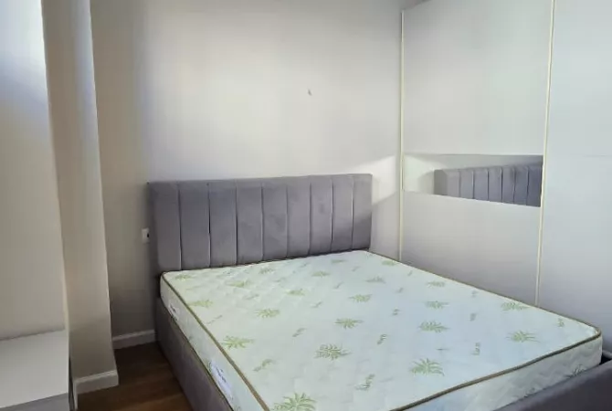 Shtepi me qera Apartament ne Tirane, 1+1, Mobilimi E mobiluar, Pagesa 550  Euro.