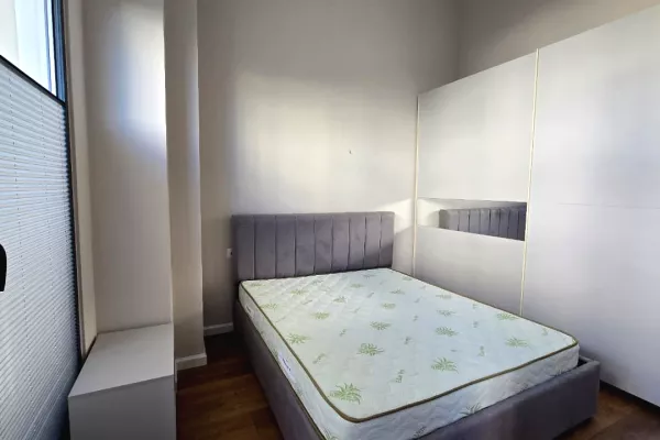 Shtepi me qera Apartament ne Tirane, 1+1, Mobilimi E mobiluar, Pagesa 60,000  Leke.