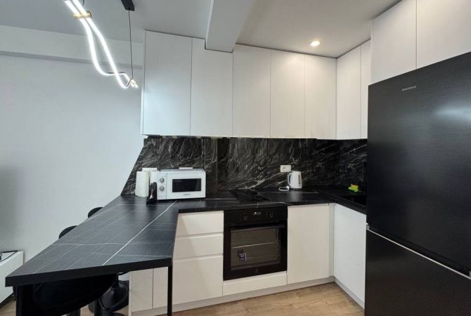 Shtepi me qera Apartament ne Tirane, 1+1, Mobilimi E mobiluar, Pagesa 540  Euro.